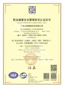 45001证书(中文)